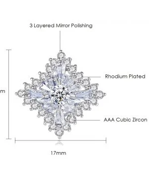Online Silver Earrings in Pakistan