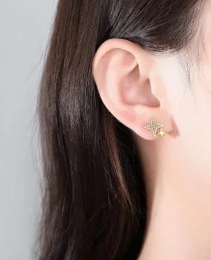 Online Women Beautiful Earrings in Pakistan