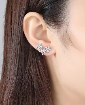 Silver Star Earrings in Pakistan