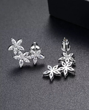 Silver Star Earrings in Pakistan