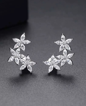 Silver Star Earrings in Pakistan