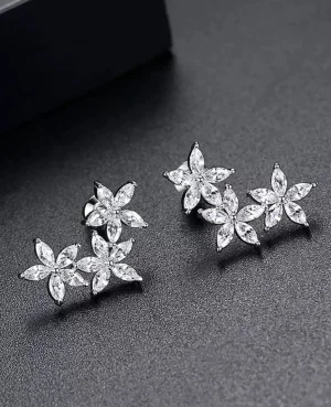 Silver Star Earrings in Pakistan