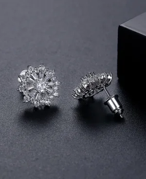 Silver Women Earrings in Pakistan